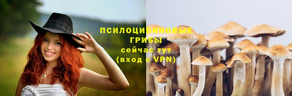 бошки Балахна