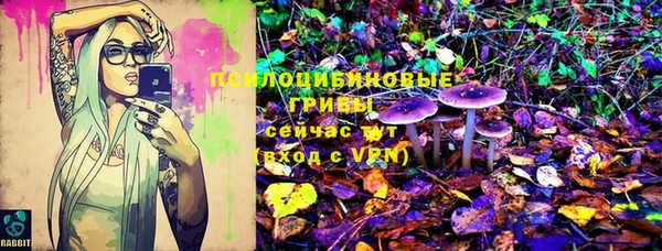 бошки Балахна