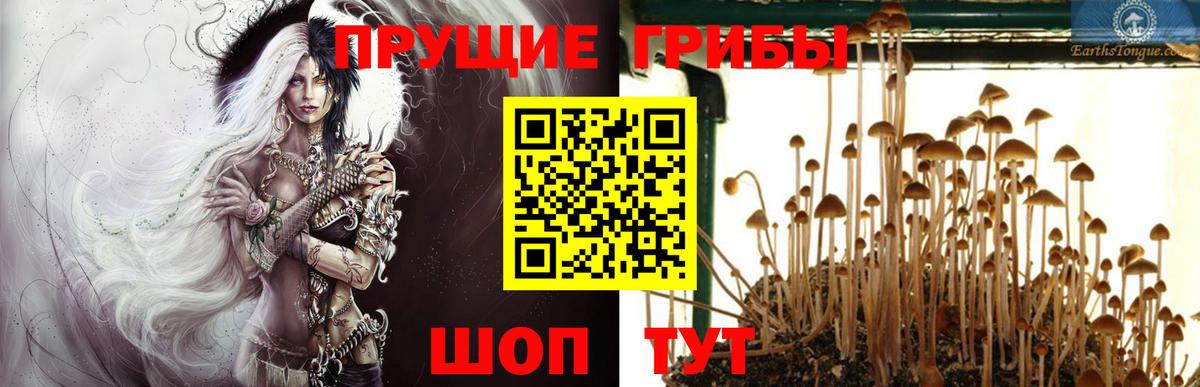 Галлюциногенные грибы прущие грибы  Вход с VPN  Можга 